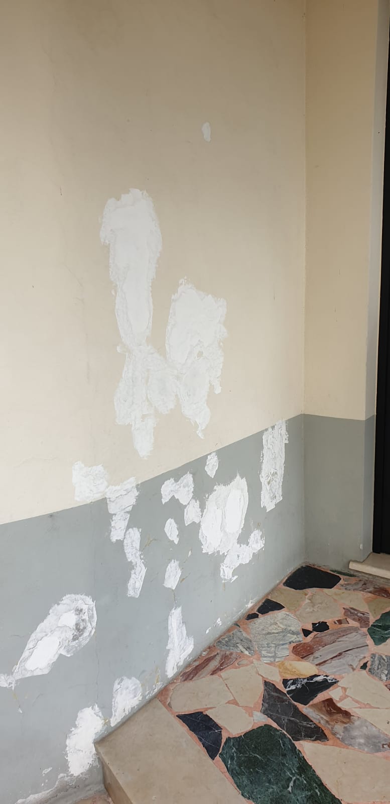 Scuole endine
